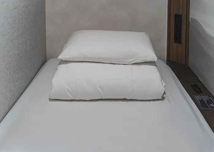 Capsulehotel Goyoo & *